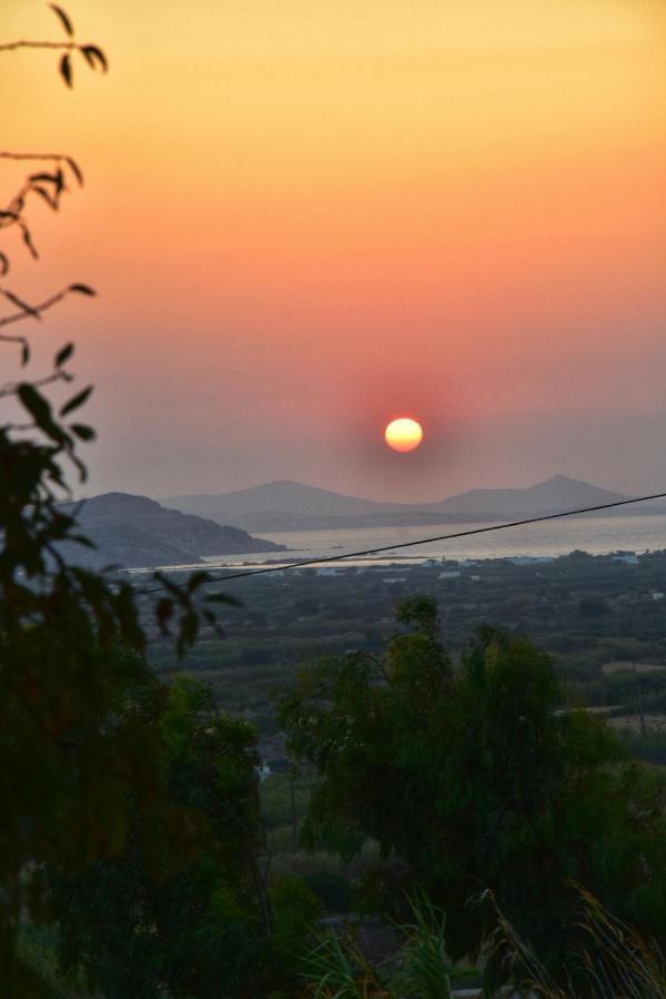 Rustic Private Cottage W/ King Bed In Galanado Naxos Esterno foto