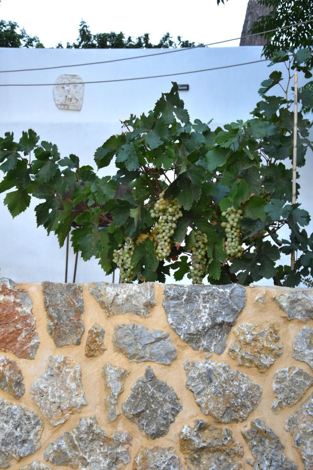 Rustic Private Cottage W/ King Bed In Galanado Naxos Camera foto